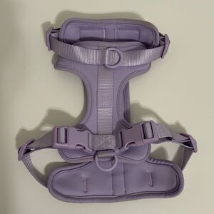 Wild one lavender dog harness 2